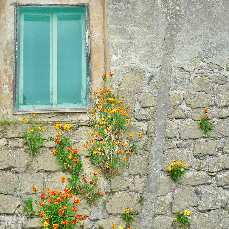 Coaching e Resiliência na Era da Incerteza