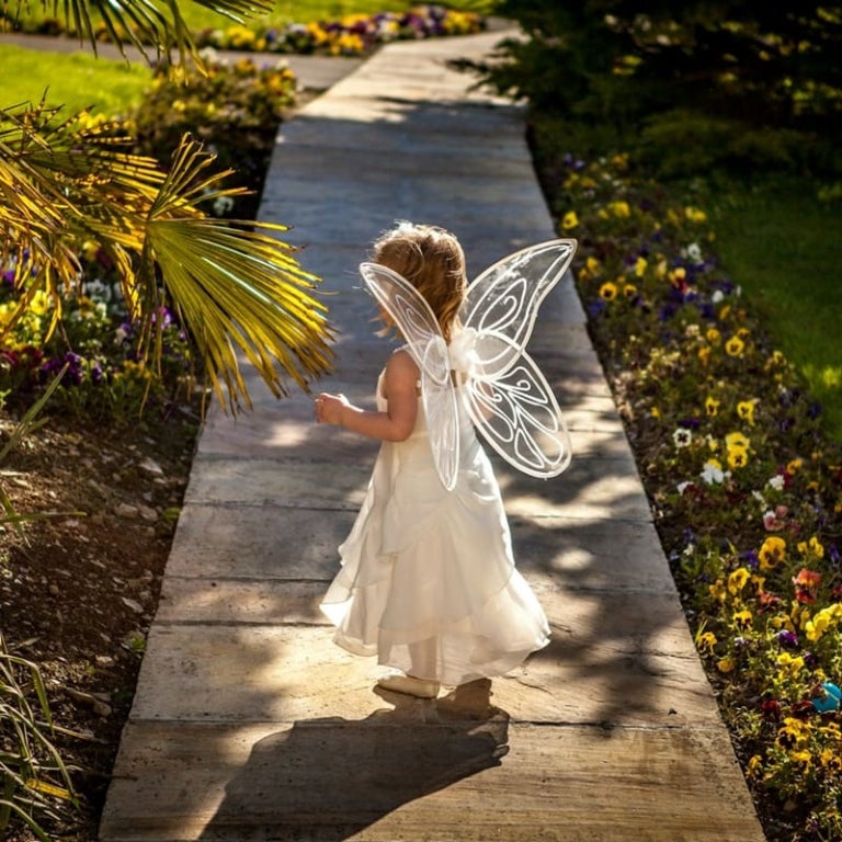 O Anjo da Felicidade