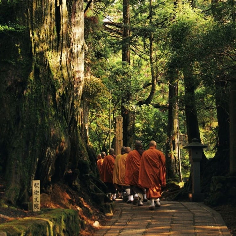 Sensibilidade e Pacificação - O poder de sustentar um campo de paz