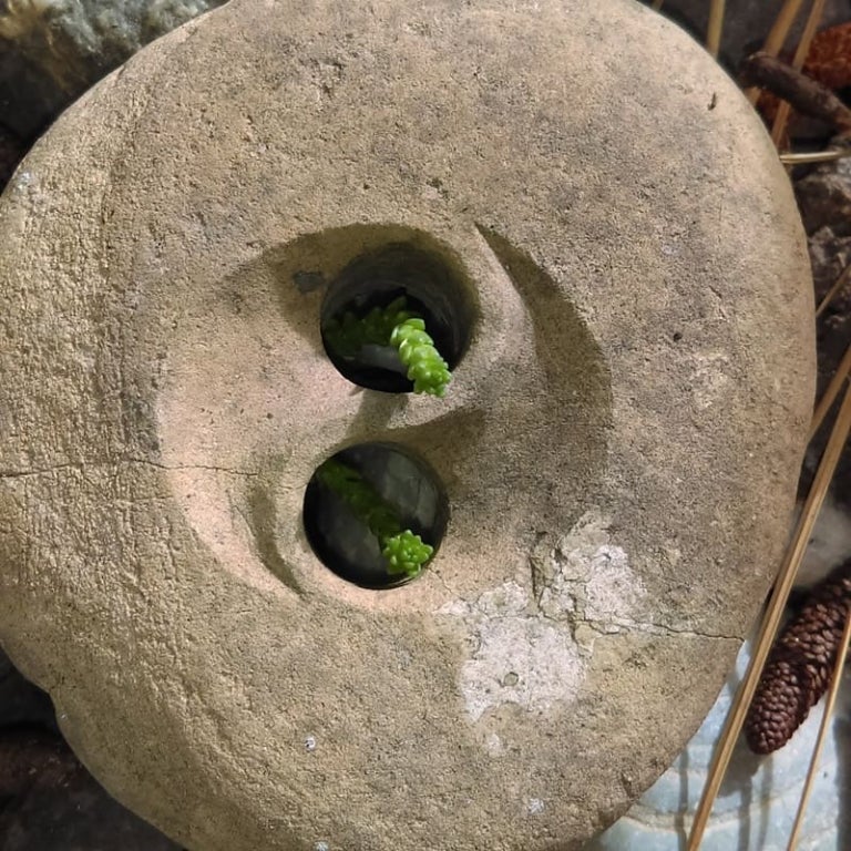 O Valor de Desenvolver a Compaixão para Pessoas Sensíveis